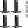 Glass Clips - 4pcs - Black
