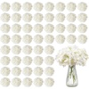 65 PCS