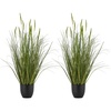 Cattails