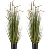 Horsetail Grass