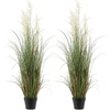 Reed Flowers and Grass