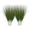 Onion Grass
