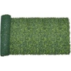 Boxwood