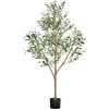 Olive Tree Type 2
