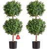 2-tier-new