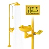 Eyewash and Shower Combination