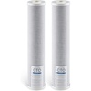 CTO Filter x 2 Pack