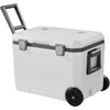 45 QT