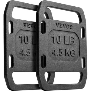 VEVOR Cast Iron Weights, Plate Weight for Swings, Squat, Strength Training, Weightlifting, Fitness Workout(11.6x9x0.6 in)