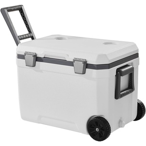VEVOR Portable Cooler,Hard Cooler with Ice Retention, Heavy-Duty Handles and Strap, Lightweight Rigid Material Insulated Portable Cooler, Suitable for Family Picnics and Short Trips(45 QT)