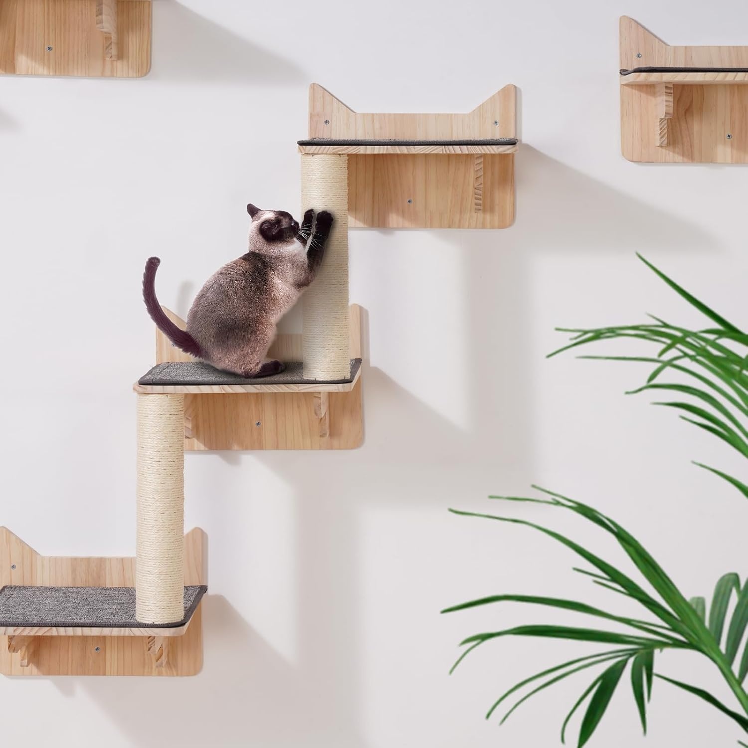 image:imageVEVOR Wall Mounted Cat Shelves Cat Wall Shelves and Perches with Jumping Boards Cat Beds Hammocks amp Cat Tree Cat Furniture and Shelves up to 40 lbs for Sleeping Playing Climbing Set of 9Free