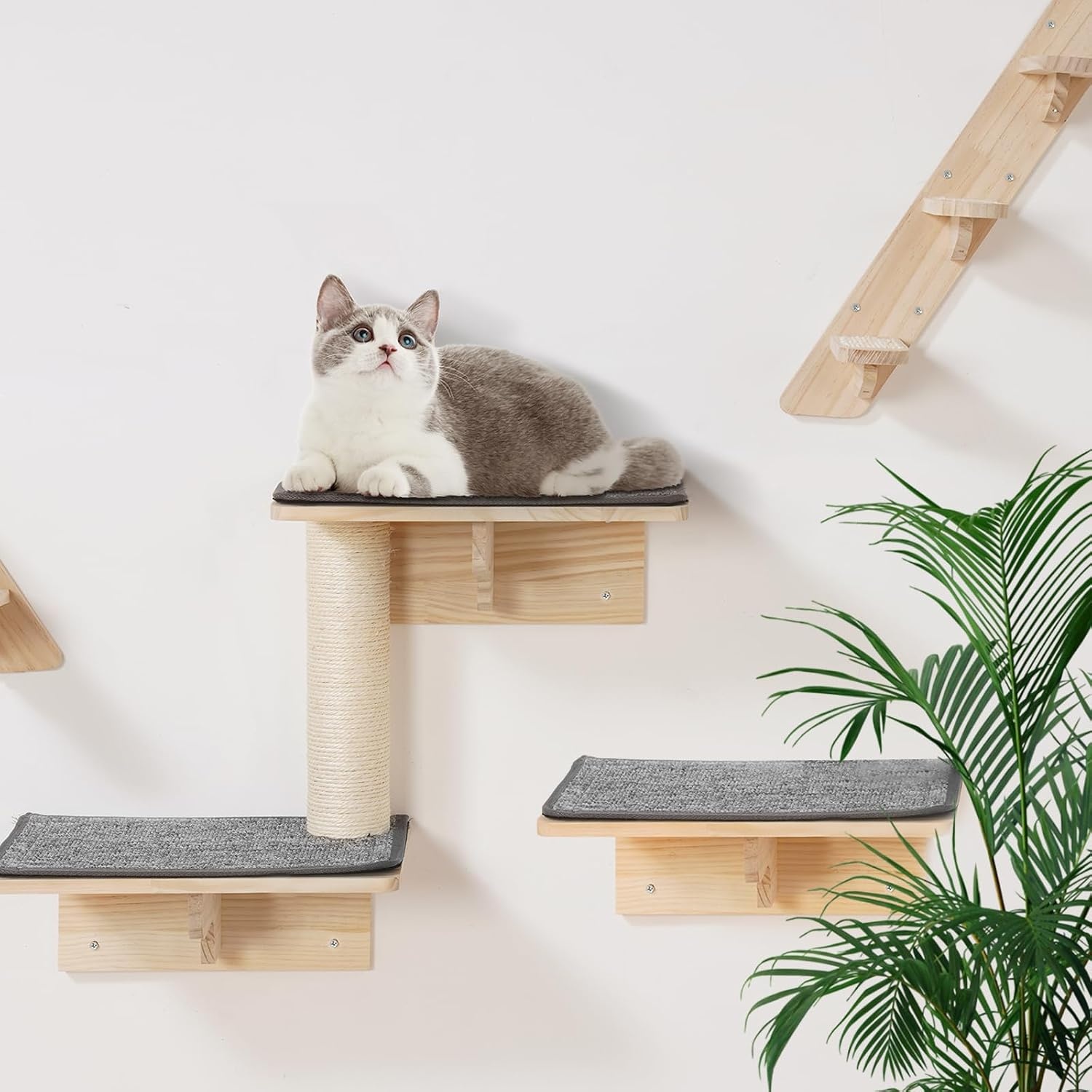 image:imageVEVOR Wall Mounted Cat Shelves Cat Wall Shelves and Perches with Jumping Boards Cat Beds Hammocks amp Cat Tree Cat Furniture and Shelves up to 40 lbs for Sleeping Playing Climbing Set of 9Free