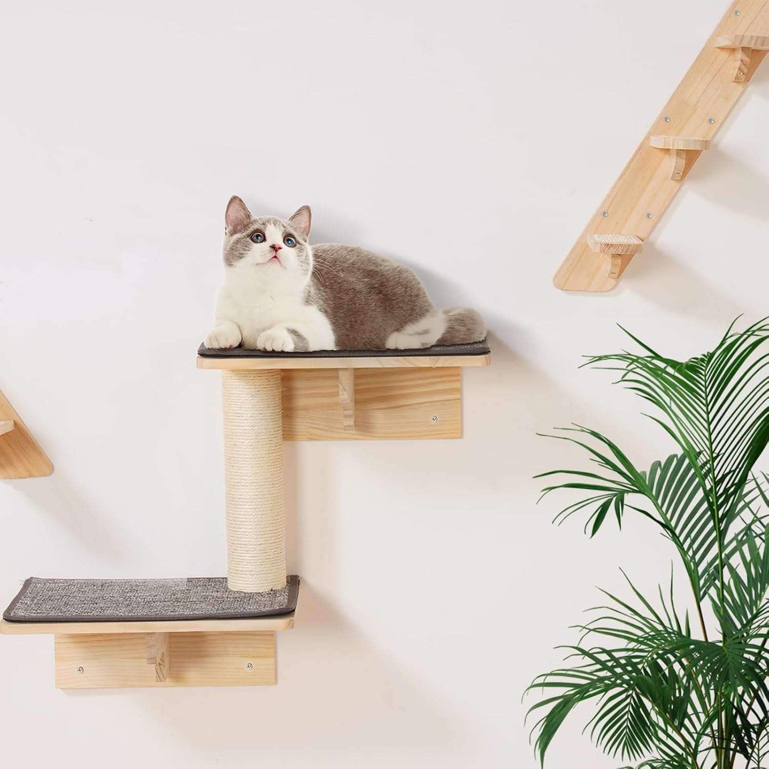 image:imageVEVOR Wall Mounted Cat Shelves Cat Wall Shelves and Perches with Jumping Boards Cat Beds Hammocks amp Cat Tree Cat Furniture and Shelves up to 40 lbs for Sleeping Playing Climbing Set of 9Free