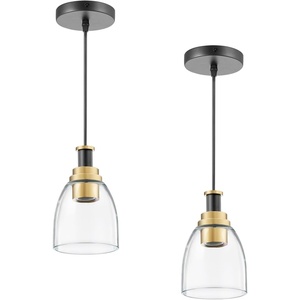 VEVOR 1-Light Black Pendant Light, 1 Pack, Farmhouse Iron Cage Metal Pendant Lighting with Clear Glass Shade, Adjustable Height Hanging Ceiling Lighting for Bedroom, Hallway, Entryway, Kitchen(2 Pack)