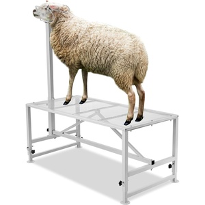 VEVOR Goat & Sheep Stand, 51×23 inch Livestock Stand, Metal Livestock Milking and Shearing Stand 21″ to 33″ Adjustable Height, with Headpiece and Nose Loop, 500lbs Loading Weight, Black(White 51×23″ Adjustable)