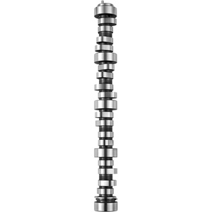 VEVOR Engine Camshaft, 05184378AF 05184378AH 5184378AE 5184378AF 5184378AD 5184378AG Cam Replacement, Fit 2018 Jeep Wrangler JK, 2011-2019 Dodge Journey, 2013-2018 Ram 1500, 2012 Ram C/V Base, 3.6L V6(SP011-16 Camshaft)
