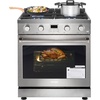 30 Inches Width/4 Burners/4.8 Cu. Ft.Oven